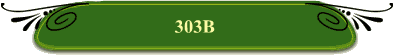 303B