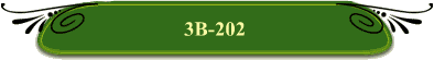 3B-202